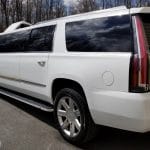 Cadillac Escalade Back VIew