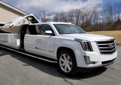 Luxury white limousine with moonlight-themed stretch design for special events.