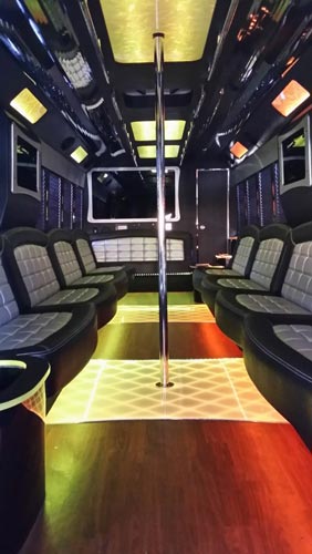 28 seater party bus nj