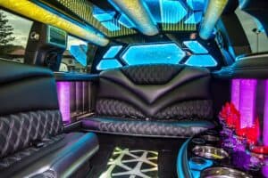 Denali Super Stretch Blue and Purple Interior